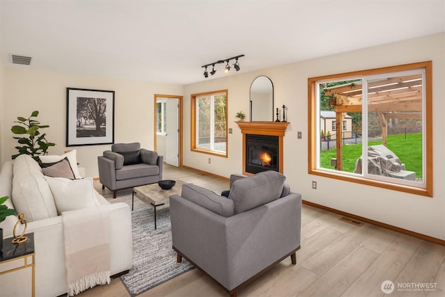 4111 161st Ave NE, Snohomish, WA 98290 - living room with a wealth of natural light, visible vents, a glass covered fireplace, and light wood-style floors