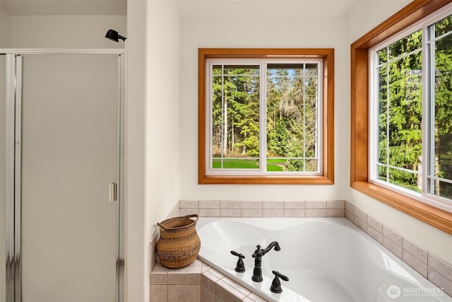 4111 161st Ave NE, Snohomish, WA 98290 - full bathroom featuring a wealth of natural light, a garden tub, and a stall shower