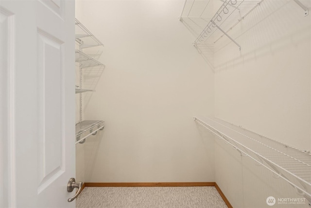 4111 161st Ave NE, Snohomish, WA 98290 - walk in closet featuring light colored carpet
