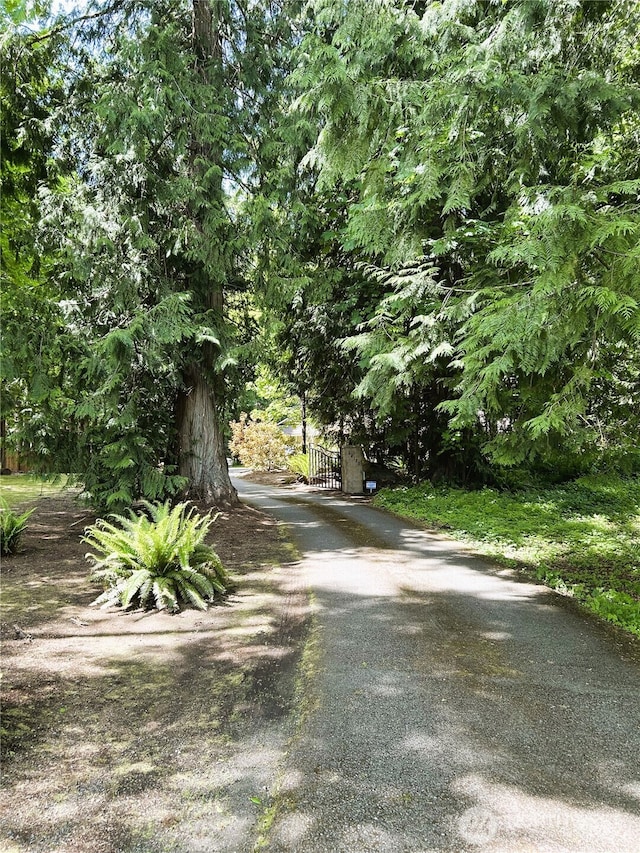 24100 NE 27th Pl, Sammamish, WA 98074 - view of road with a gate