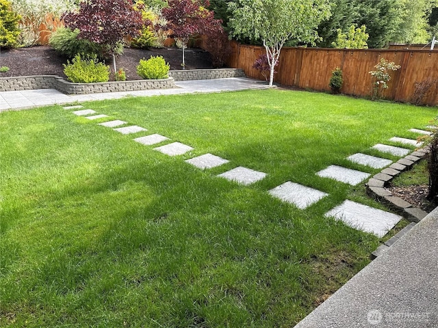 9215 198th Street Ct E, Graham, WA 98338 - view of yard