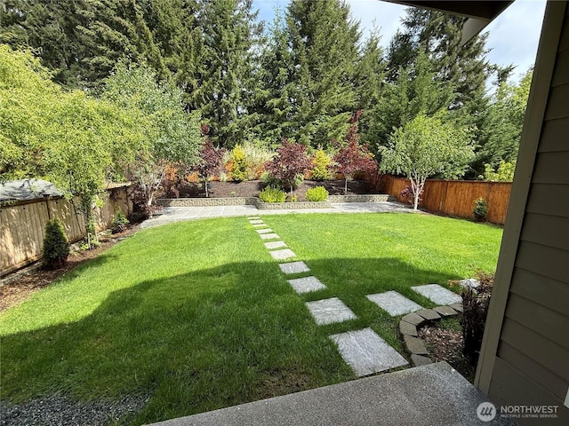 9215 198th Street Ct E, Graham, WA 98338 - view of yard