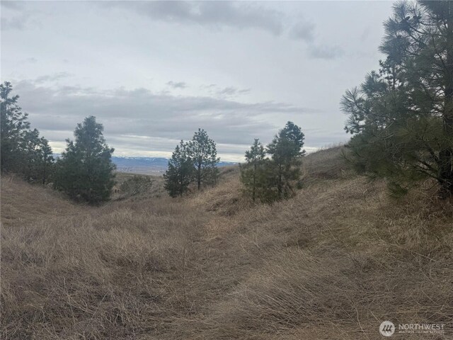 0 Biltmore Dr, Ellensburg, WA 98926 - photo 15
