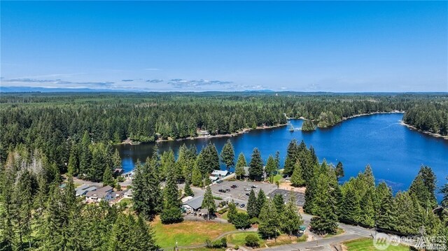 birds eye view of property featuring a water view and a view of trees