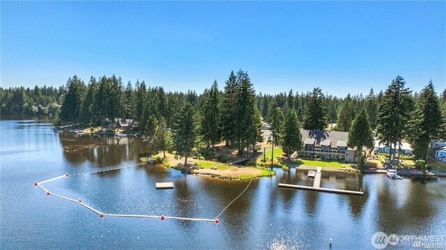 water view with a wooded view