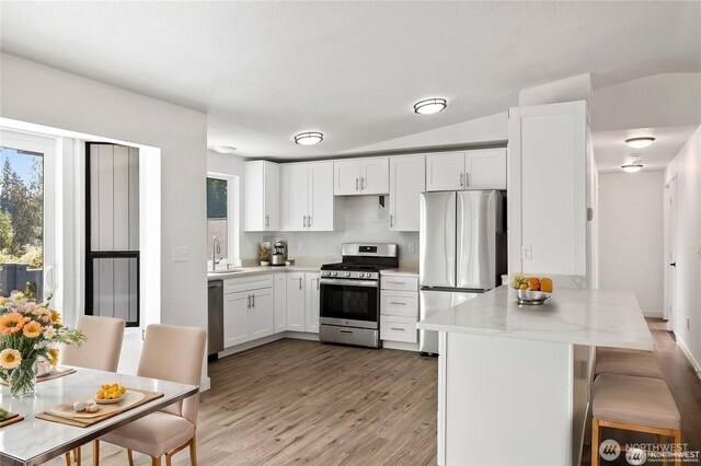 kitchen with a sink, appliances with stainless steel finishes, plenty of natural light, and light wood finished floors