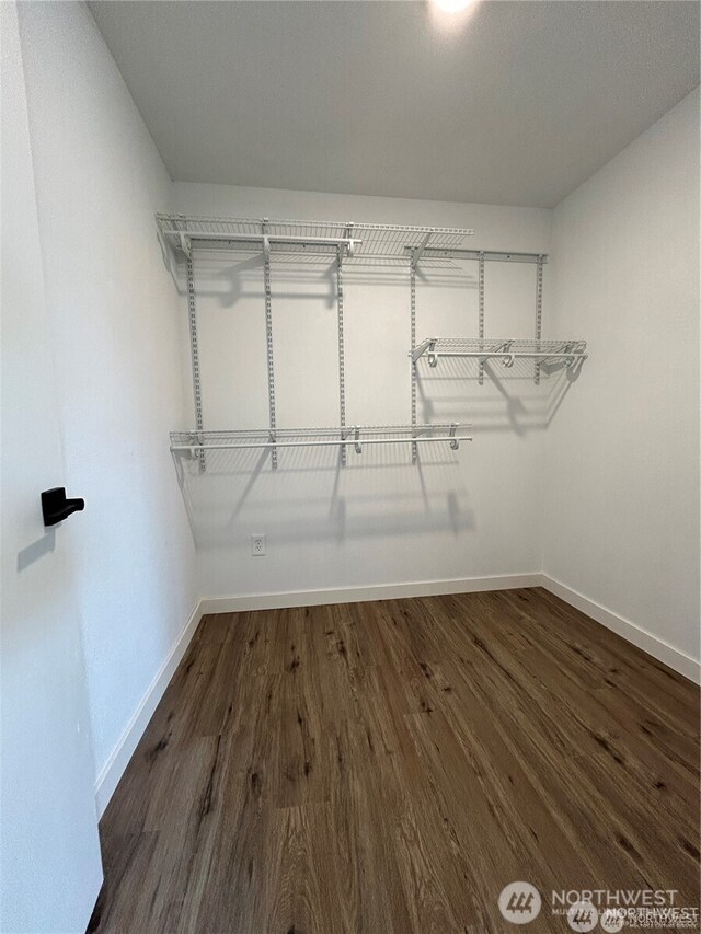 spacious closet featuring wood finished floors