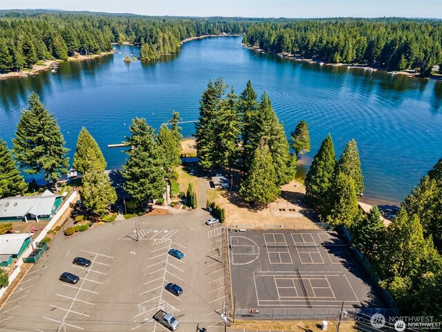 drone / aerial view with a view of trees and a water view