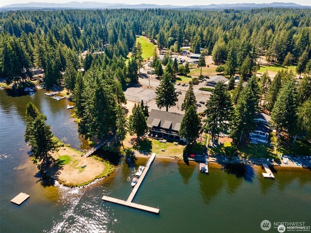 bird's eye view featuring a water and mountain view and a forest view