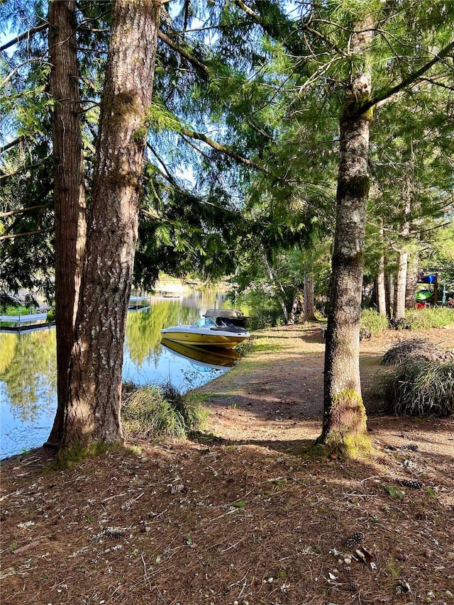 view of water feature