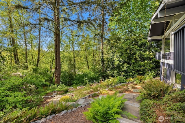 11925 Manzanita Ln NE, Bainbridge Island, WA 98110 - view of yard