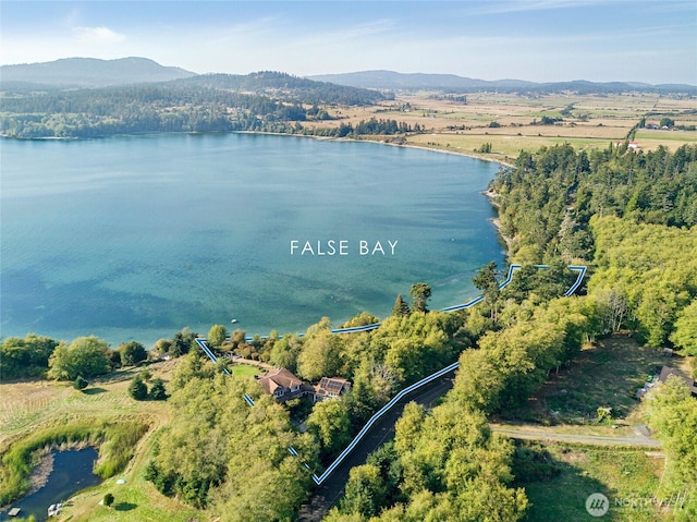 1935 False Bay Dr, Friday Harbor, WA 98250 - drone / aerial view of a water and mountain view