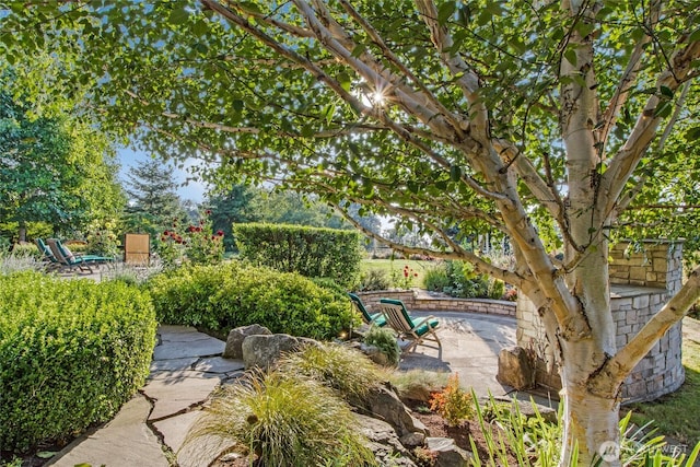 1935 False Bay Dr, Friday Harbor, WA 98250 - view of yard with a patio