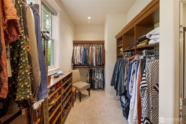 1935 False Bay Dr, Friday Harbor, WA 98250 - spacious closet featuring light carpet