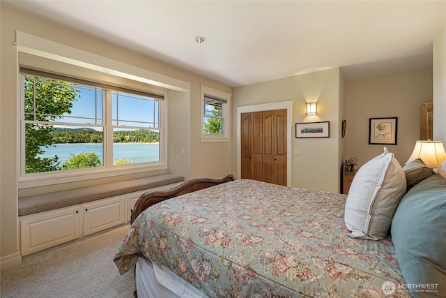 1935 False Bay Dr, Friday Harbor, WA 98250 - bedroom featuring carpet flooring and a closet