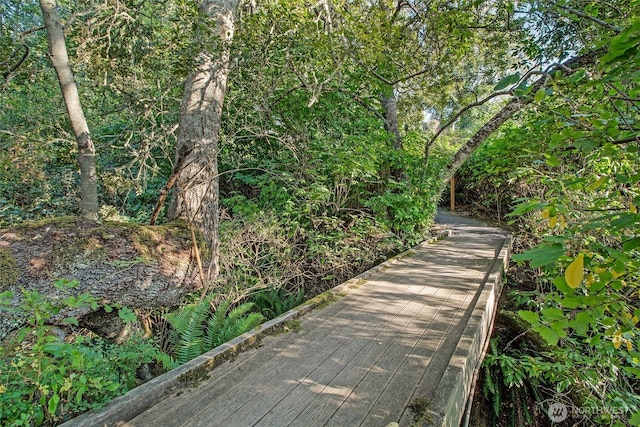 1935 False Bay Dr, Friday Harbor, WA 98250 - view of surrounding community