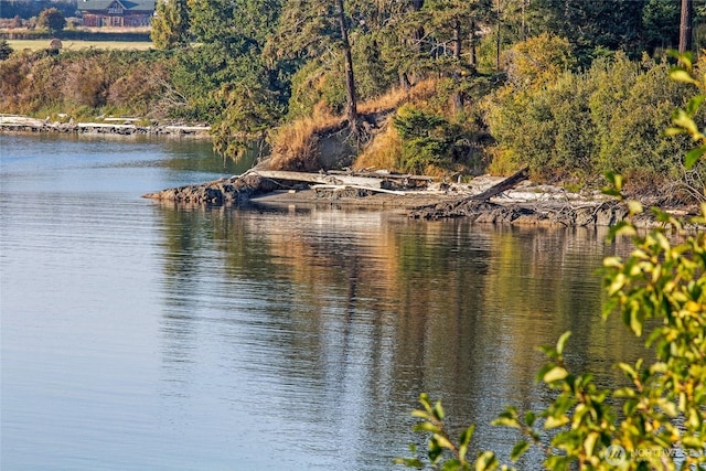 1935 False Bay Dr, Friday Harbor, WA 98250 - water view