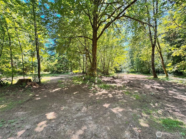 13811 Thompson Rd Unit 11, Cinebar, WA 98533 - view of wooded area