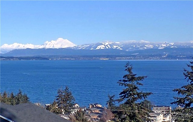 1433 Crestview Dr, Camano Island, WA 98282 - water view with mountains