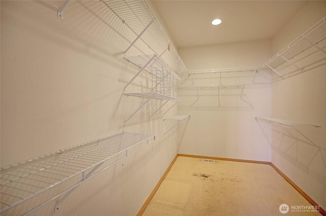 1433 Crestview Dr, Camano Island, WA 98282 - spacious closet with carpet floors