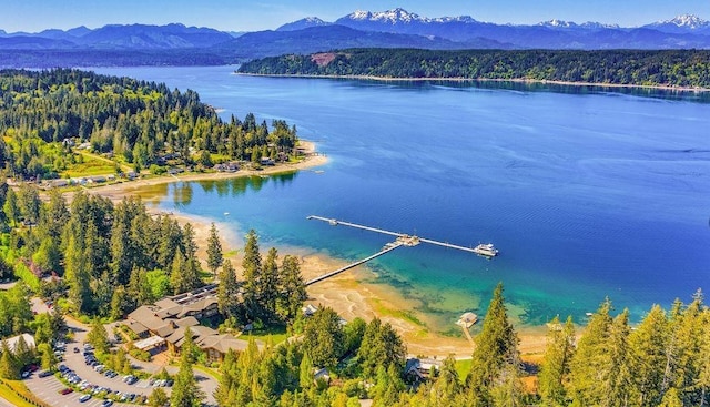 701 E Vine Maple Ln, Union, WA 98592 - drone / aerial view with a water and mountain view and a wooded view