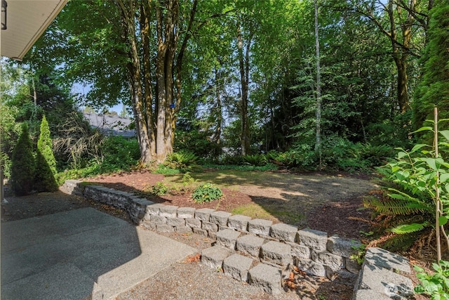 4305 Lupine Ct, Gig Harbor, WA 98335 - photo 24