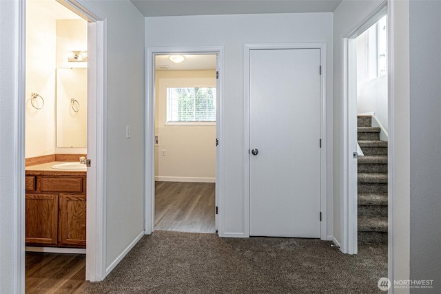 corridor with baseboards, stairs, dark carpet, and dark wood-style flooring