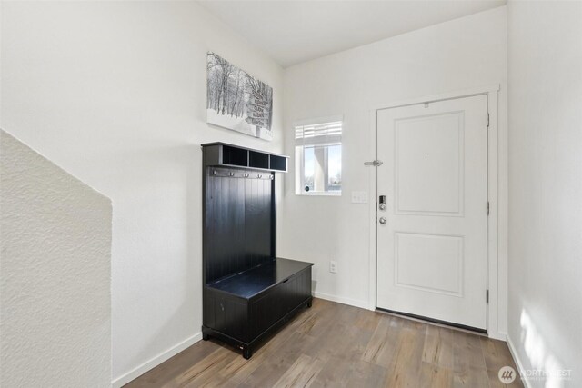 mudroom with baseboards and wood finished floors