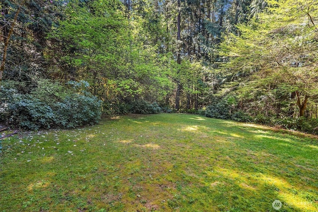 view of yard with a wooded view