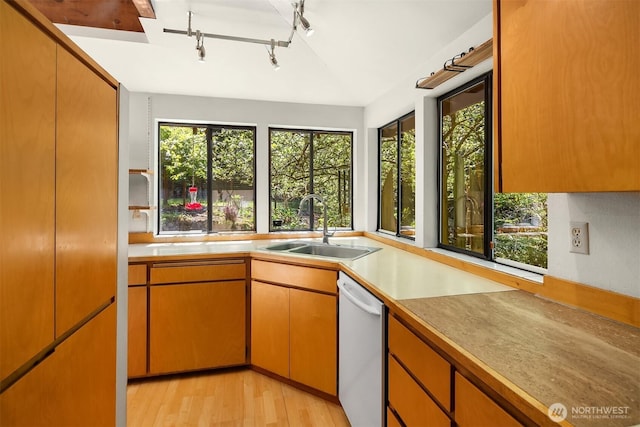 kitchen featuring white dishwasher, light countertops, rail lighting, a sink, and light wood-style flooring