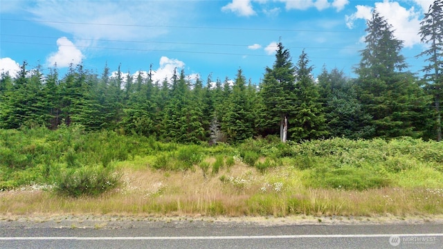 47 N Shore Pl, Hoquiam, WA 98550 - photo 14