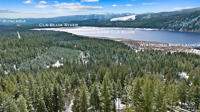 791 Lake Forest Dr, Ronald, WA 98940 - photo 3