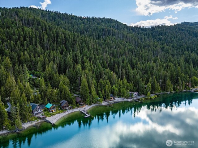 15431 Cedar Brae Rd, Leavenworth, WA 98826 - photo 4