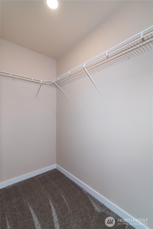 16283 Hwy 97, Ellensburg, WA 98926 - walk in closet with dark carpet