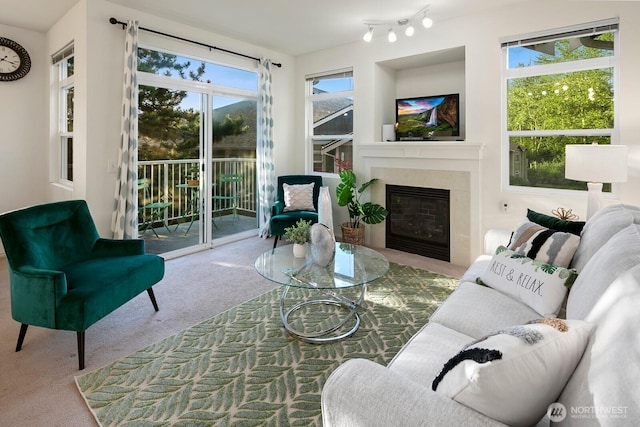 588 241st Ln SE, Sammamish, WA 98074 - living area featuring carpet flooring and a premium fireplace