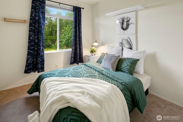 588 241st Ln SE, Sammamish, WA 98074 - bedroom featuring baseboards, carpet, and multiple windows