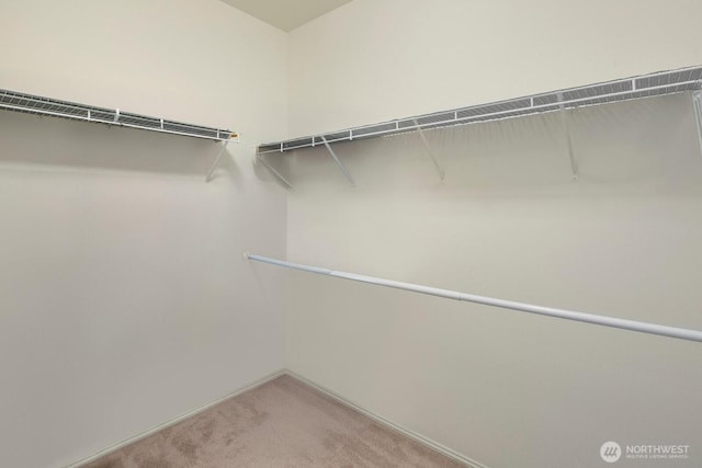 588 241st Ln SE, Sammamish, WA 98074 - walk in closet featuring carpet flooring