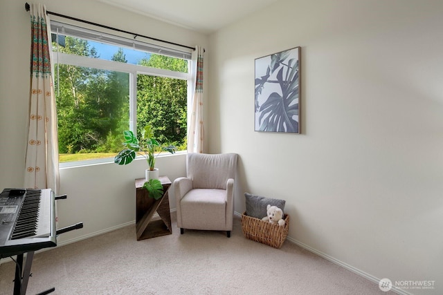 588 241st Ln SE, Sammamish, WA 98074 - sitting room featuring baseboards, carpet, and a wealth of natural light