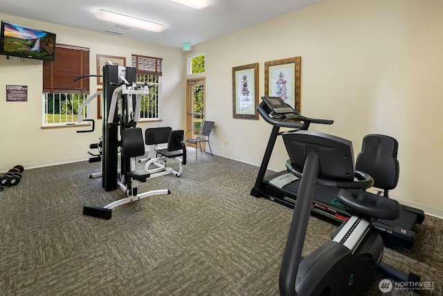 588 241st Ln SE, Sammamish, WA 98074 - workout room with carpet flooring, baseboards, and a healthy amount of sunlight