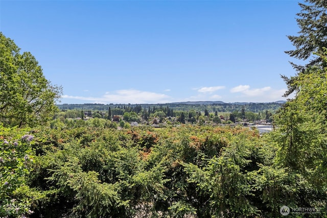 1918 SE Maple Dr, Chehalis, WA 98532 - mountain view with a forest