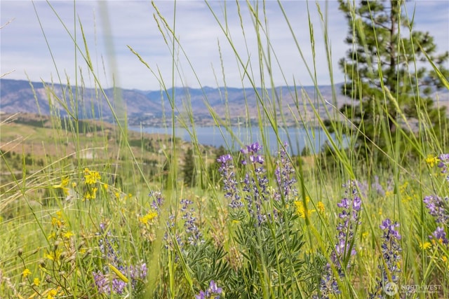 23 Eagle Crest Rd, Chelan, WA 98816 - photo 1