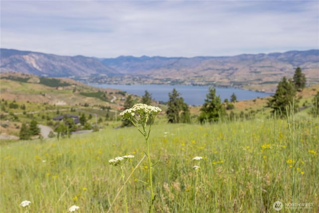 23 Eagle Crest Rd, Chelan, WA 98816 - photo 2