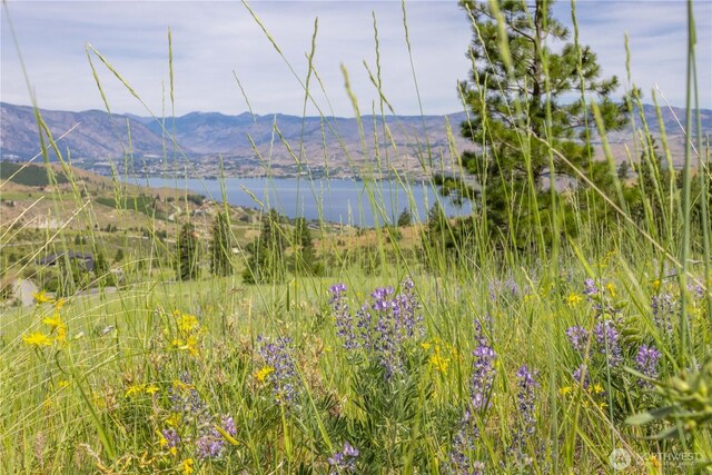 23 Eagle Crest Rd, Chelan, WA 98816 - photo 3