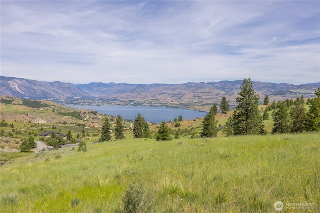 23 Eagle Crest Rd, Chelan, WA 98816 - photo 5