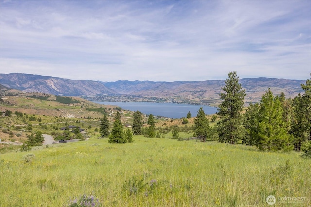 23 Eagle Crest Rd, Chelan, WA 98816 - photo 6
