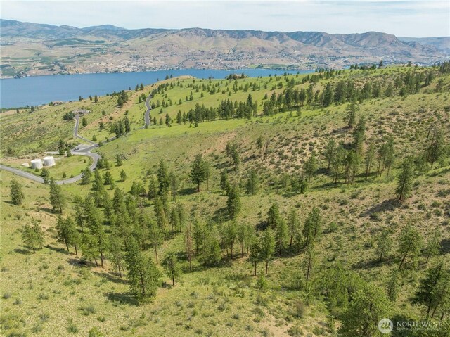 23 Eagle Crest Rd, Chelan, WA 98816 - photo 7