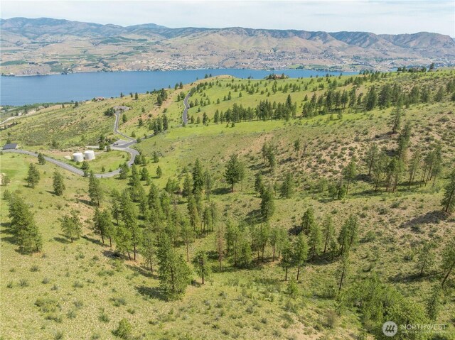 23 Eagle Crest Rd, Chelan, WA 98816 - photo 14