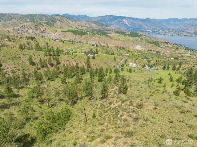 23 Eagle Crest Rd, Chelan, WA 98816 - photo 15