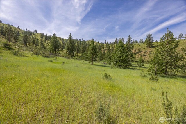 23 Eagle Crest Rd, Chelan, WA 98816 - photo 18