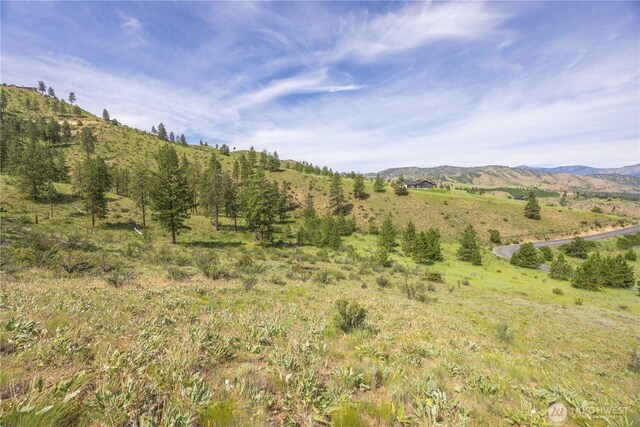 23 Eagle Crest Rd, Chelan, WA 98816 - photo 26